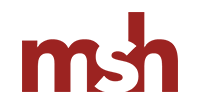 msh Steuerberatungsgesellschaft mbH & Co. KG